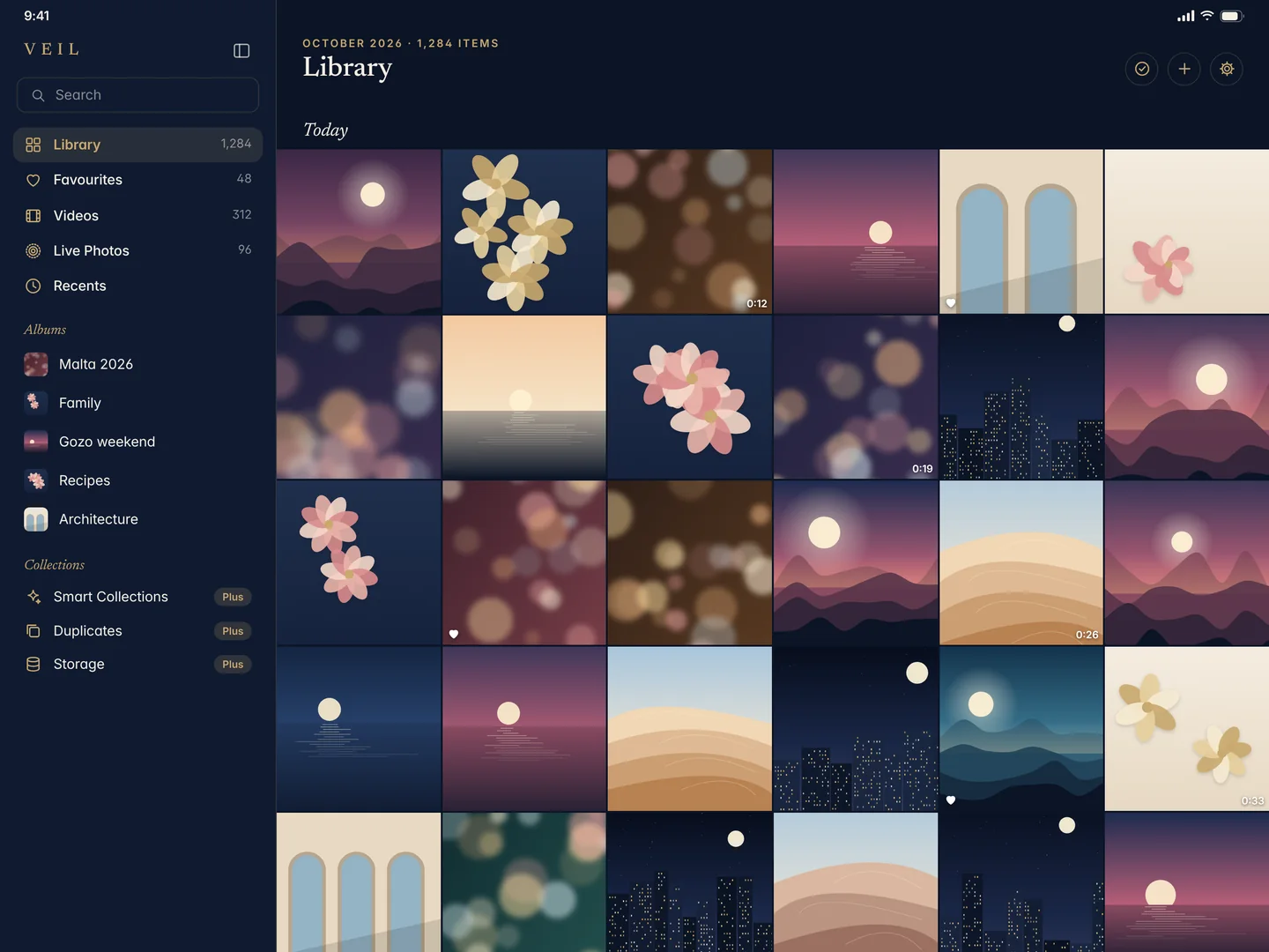 VEIL on iPad: the library in a sidebar layout with albums on the left and a photo grid on the right.